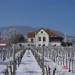 Bacchus - Borbarlang, Badacsony Apartmán *