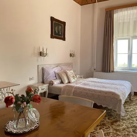 Apartment Bacchus - Borbarlang, Badacsony *