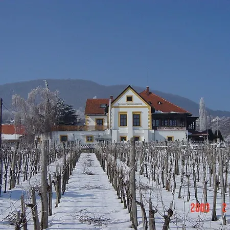 Bacchus - Borbarlang, Badacsony アパート *