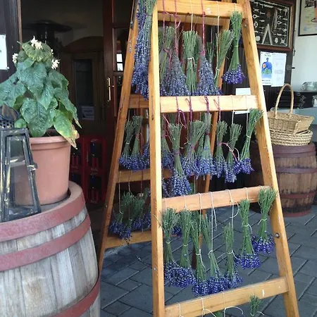 Bacchus - Borbarlang, Badacsony バダチョニトマイ