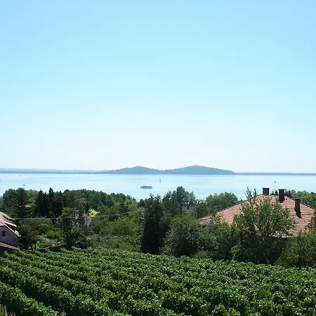 Bacchus - Borbarlang, Badacsony