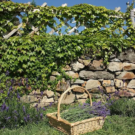 アパート Bacchus - Borbarlang, Badacsony *