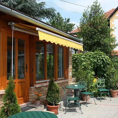 Bacchus - Borbarlang, Badacsony バダチョニトマイ