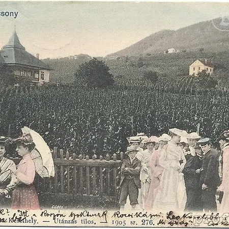 Bacchus - Borbarlang, Badacsony バダチョニトマイ