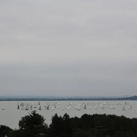 Bacchus - Borbarlang, Badacsony アパート バダチョニトマイ