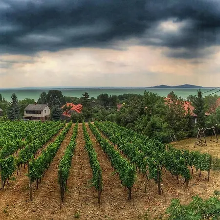 アパート Bacchus - Borbarlang, Badacsony *