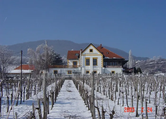 Bacchus - Borbarlang, Badacsony Apartamento *