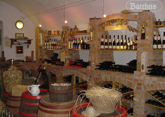 Apartamento Bacchus - Borbarlang, Badacsony Badacsonytomaj